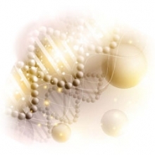 productos naturales de Tiande